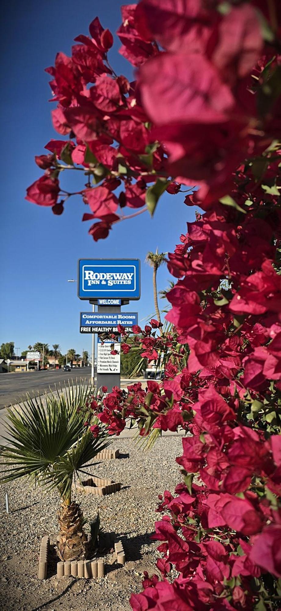 Rodeway Inn & Suites Blythe Exterior foto
